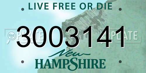 3003141 New Hampshire License Plate