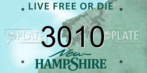 3010 New Hampshire License Plate