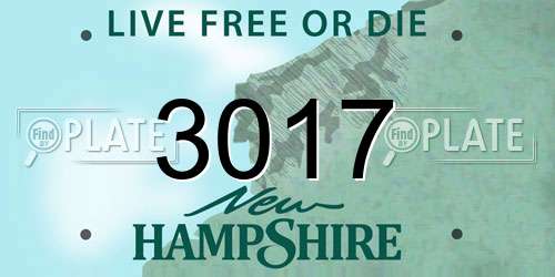 3017 New Hampshire License Plate