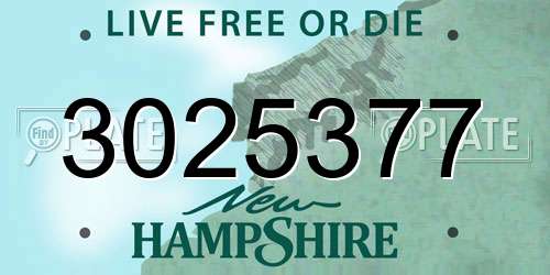 3025377 New Hampshire License Plate