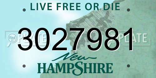 3027981 New Hampshire License Plate