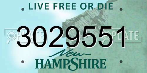 3029551 New Hampshire License Plate