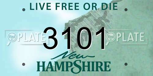 3101 New Hampshire License Plate