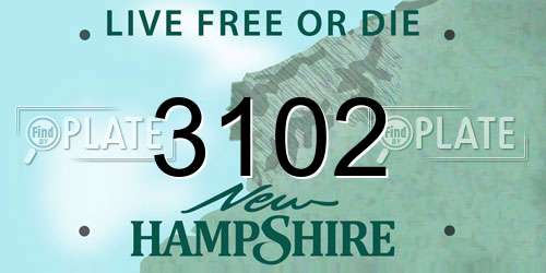 3102 New Hampshire License Plate