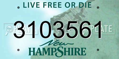 3103561 New Hampshire License Plate