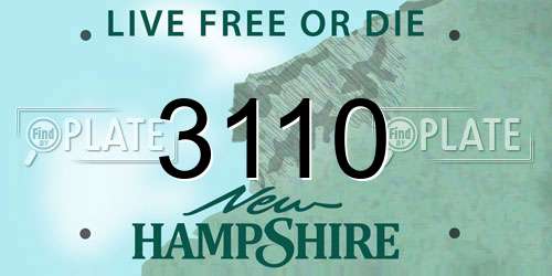 3110 New Hampshire License Plate