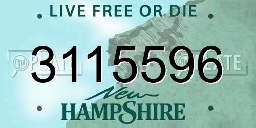 3115596 New Hampshire License Plate