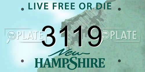 3119 New Hampshire License Plate