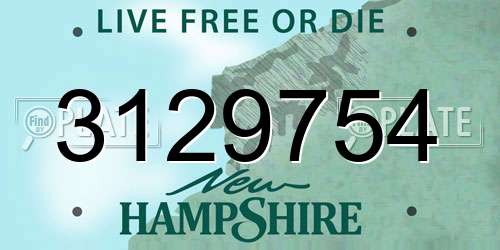 3129754 New Hampshire License Plate