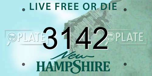 3142 New Hampshire License Plate
