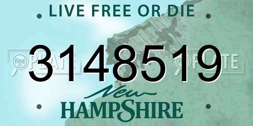 3148519 New Hampshire License Plate