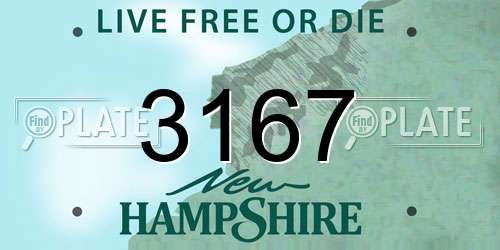 3167 New Hampshire License Plate