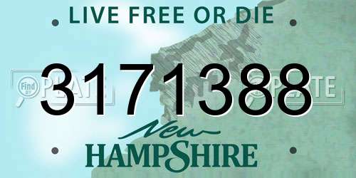 3171388 New Hampshire License Plate