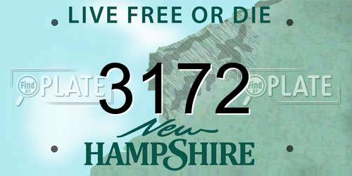 3172 New Hampshire License Plate