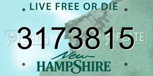 3173815 New Hampshire License Plate