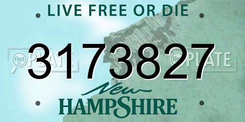 3173827 New Hampshire License Plate