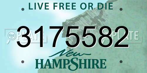 3175582 New Hampshire License Plate
