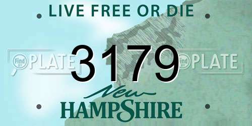 3179 New Hampshire License Plate