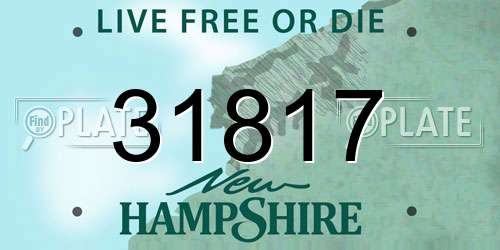 31817 New Hampshire License Plate