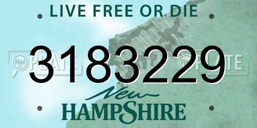 3183229 New Hampshire License Plate