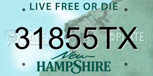 31855TX New Hampshire License Plate