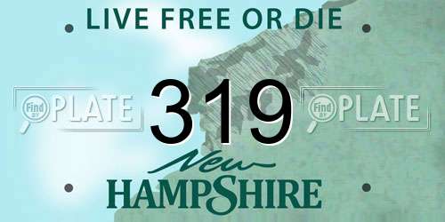 319 New Hampshire License Plate