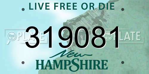 319081 New Hampshire License Plate