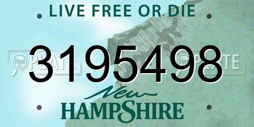 3195498 New Hampshire License Plate