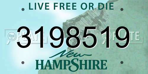 3198519 New Hampshire License Plate