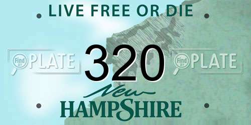 320 New Hampshire License Plate