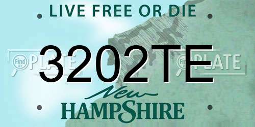 3202TE New Hampshire License Plate