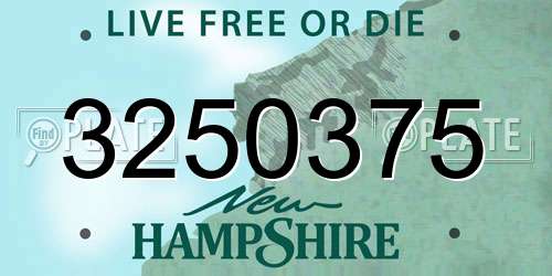 3250375 New Hampshire License Plate