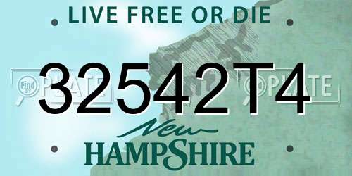 32542T4 New Hampshire License Plate