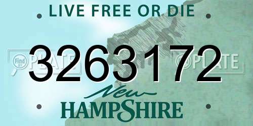 3263172 New Hampshire License Plate