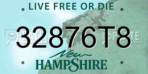 32876T8 New Hampshire License Plate