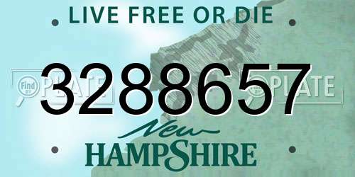 3288657 New Hampshire License Plate
