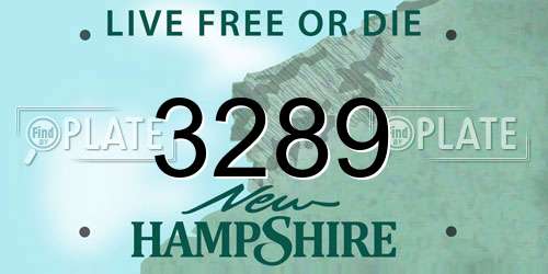3289 New Hampshire License Plate