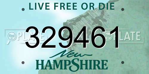 329461 New Hampshire License Plate