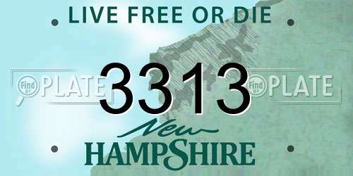 3313 New Hampshire License Plate