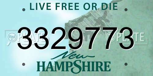 3329773 New Hampshire License Plate