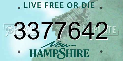 3377642 New Hampshire License Plate