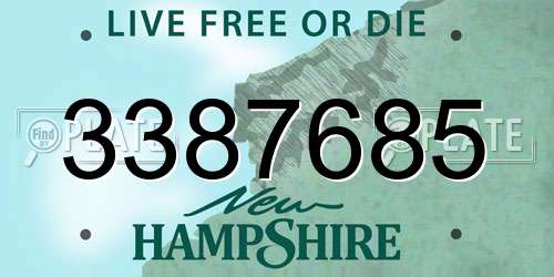 3387685 New Hampshire License Plate