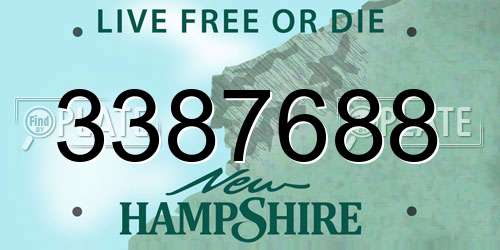 3387688 New Hampshire License Plate
