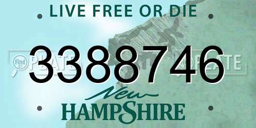 3388746 New Hampshire License Plate