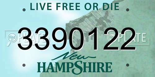 3390122 New Hampshire License Plate