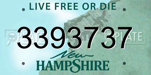 3393737 New Hampshire License Plate