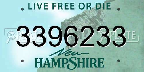 3396233 New Hampshire License Plate