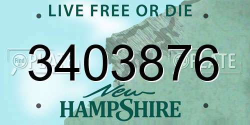 3403876 New Hampshire License Plate