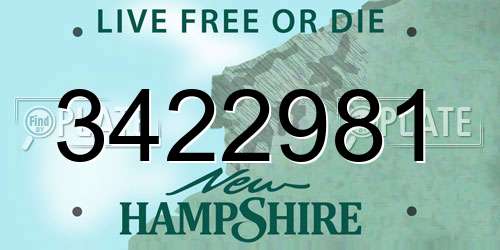 3422981 New Hampshire License Plate