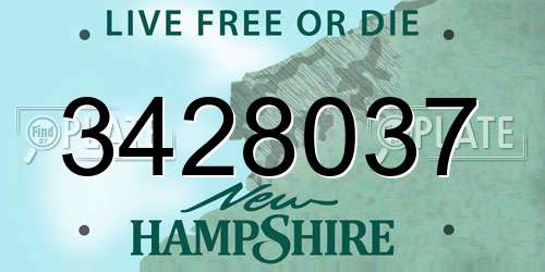 3428037 New Hampshire License Plate